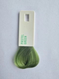 EVO -PASTEL GREEN colour maintenance conditioner 200ml